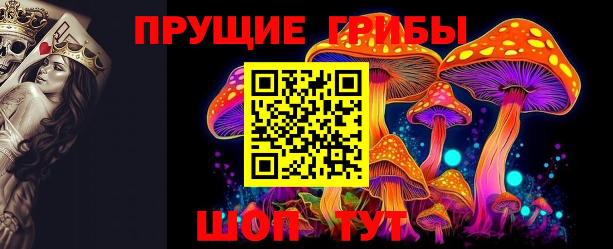 Галлюциногенные грибы Psilocybine cubensis Дубна